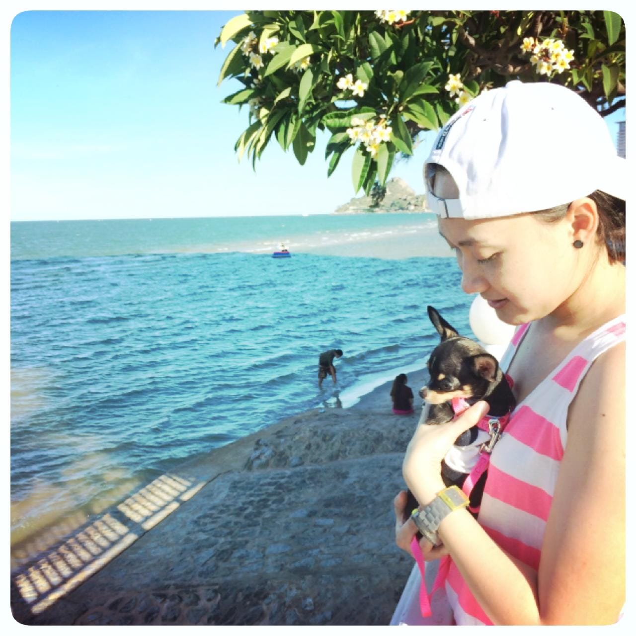 Learn To Surf In Phuket Saltwater Dreaming Surf School — free download